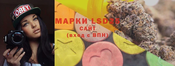 PSILOCYBIN Новокубанск