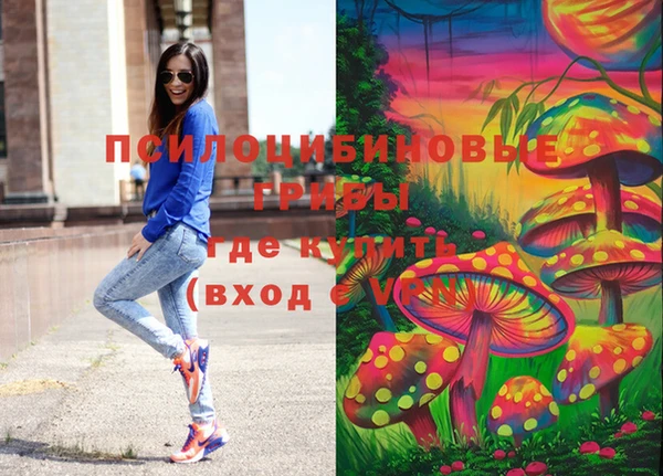 PSILOCYBIN Новокубанск