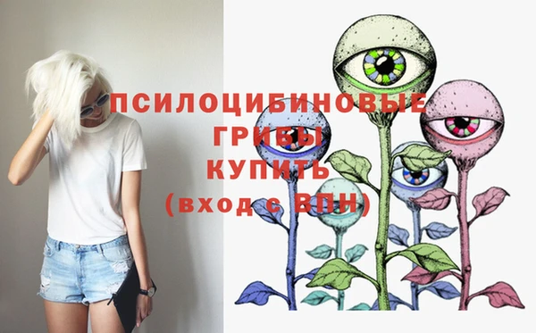 PSILOCYBIN Новокубанск