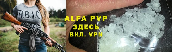 PSILOCYBIN Новокубанск