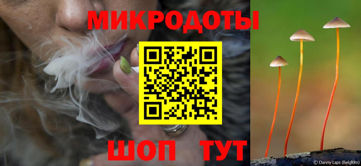 Туапсе  Псилоцибиновые грибы Psilocybe  Вход с VPN 